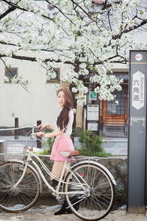 日本旅行拍摄婚纱情侣写真 樱花今日发,思君且盼君